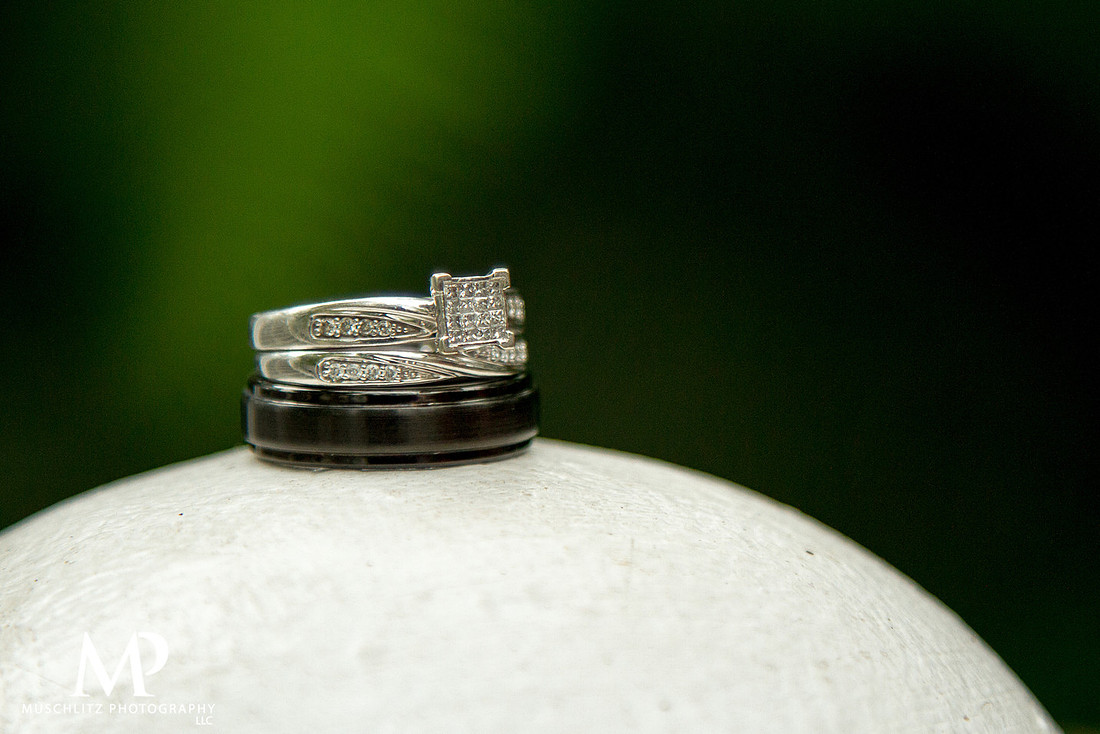 Best-of-2013-weddings-columbus-ohio-the-franklin-park-conservatory-ross-family-life-center-
