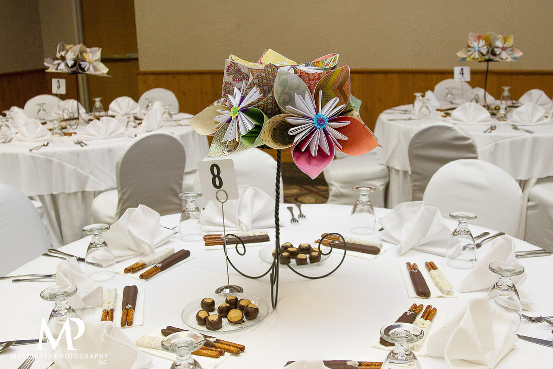 Best-of-2013-weddings-mt.-sterling-ohio-deer-creek-state-park-lodge-conference-center