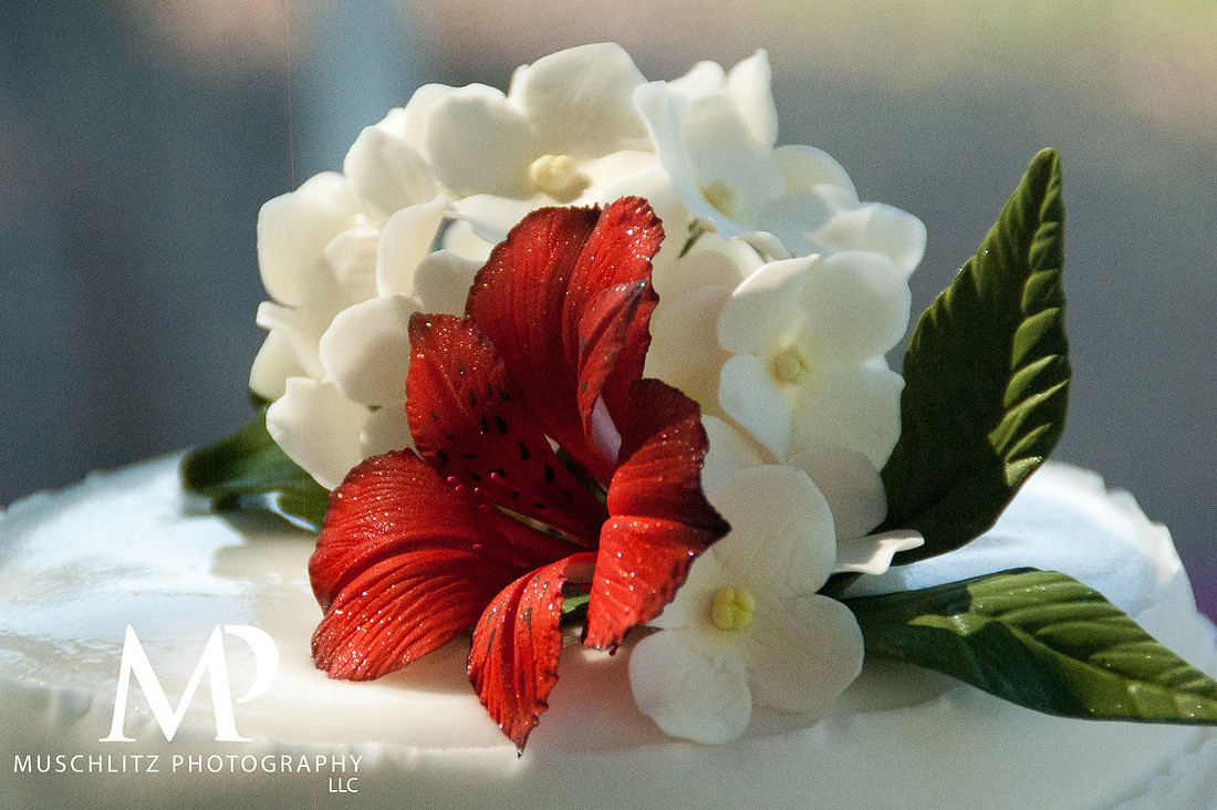 Lake Erie Summer Wedding, Maumee Bay State Park, Oregon, Ohio
