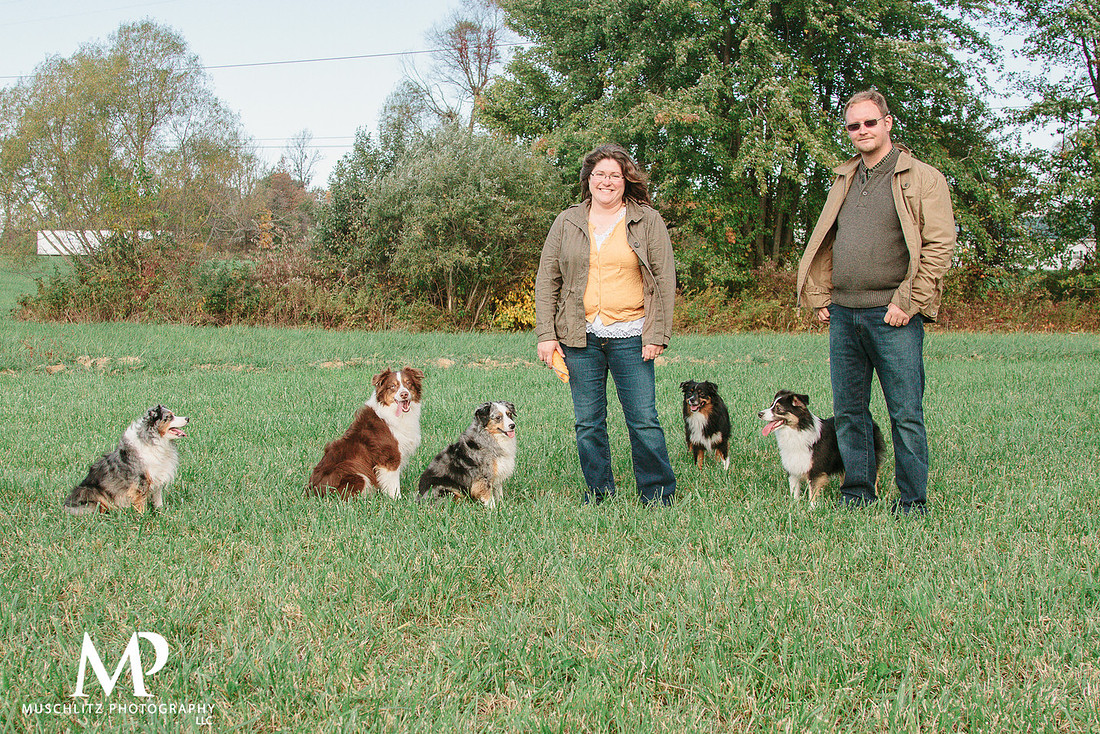 Best-of-2013-portraits-family-session-with-dogs-horse-farm-johnstown-ohio