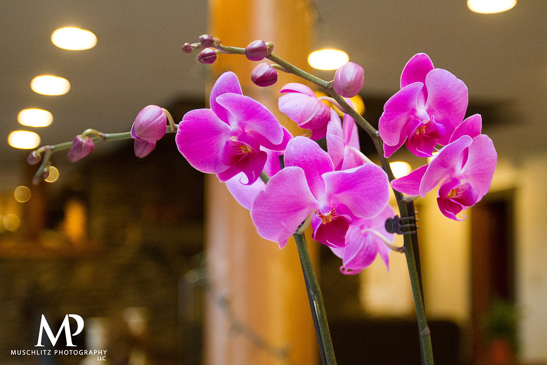 Best-of-2013-weddings-salesville-ohio-pine-lakes-lodge