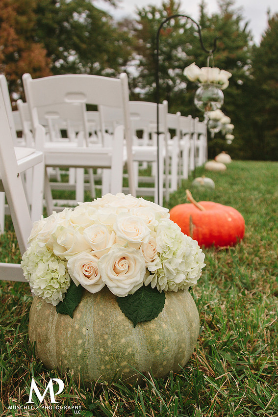 Best-of-2013-weddings-johnstown-columbus-ohio-new-albany-granville-equestrian-center-country-wedding