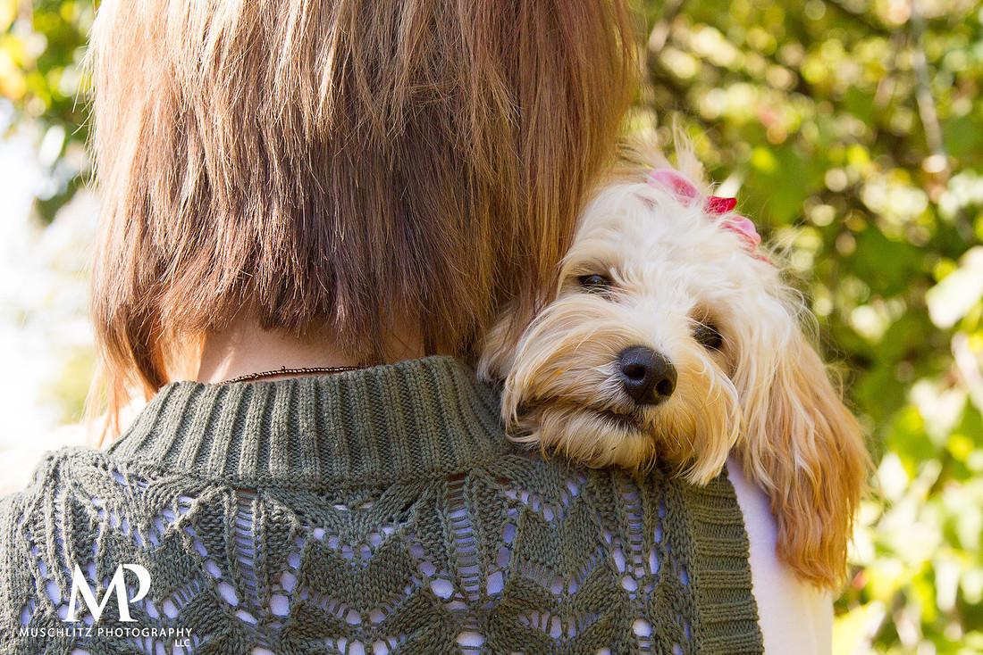 pet-outdoor-fall-family-portraits-london-ohio-by-muschlitz-photography-03